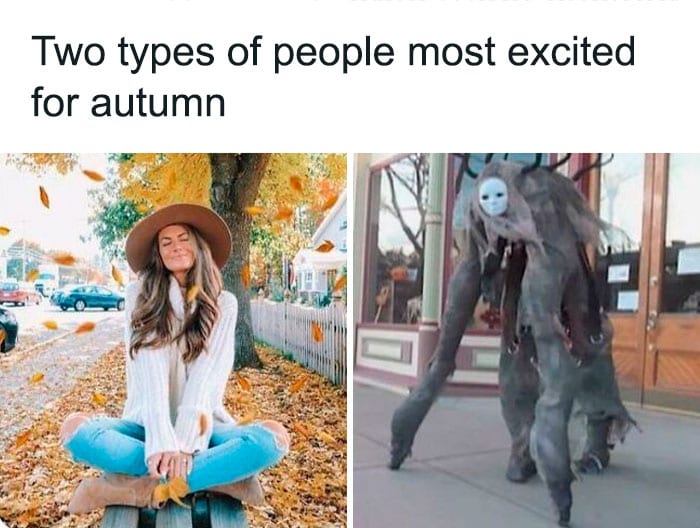 Funny Halloween Memes 14 63596Cc01605B 700