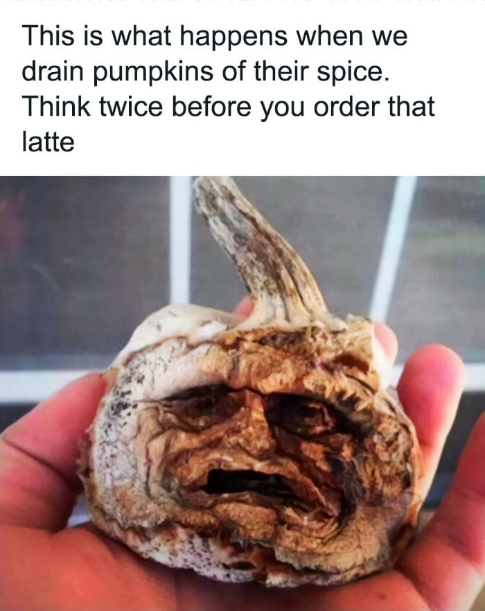 Funny Halloween Memes 22 635A198E69296 700