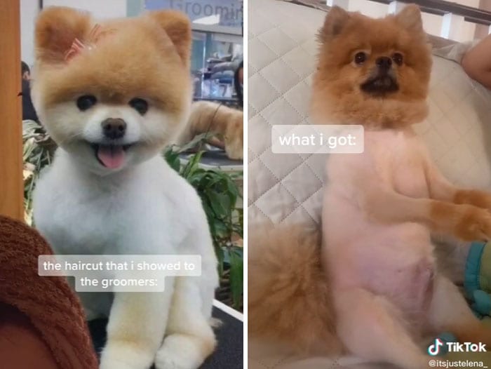 30 Extremely Funny 'What I Want Vs What I Got' Images You'll Ever See 