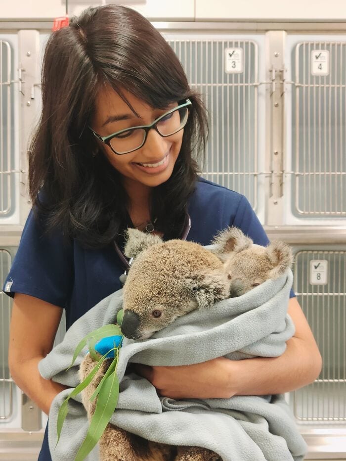 30 Hilarious And Wholesome Moments That Vets Have Experienced At Work