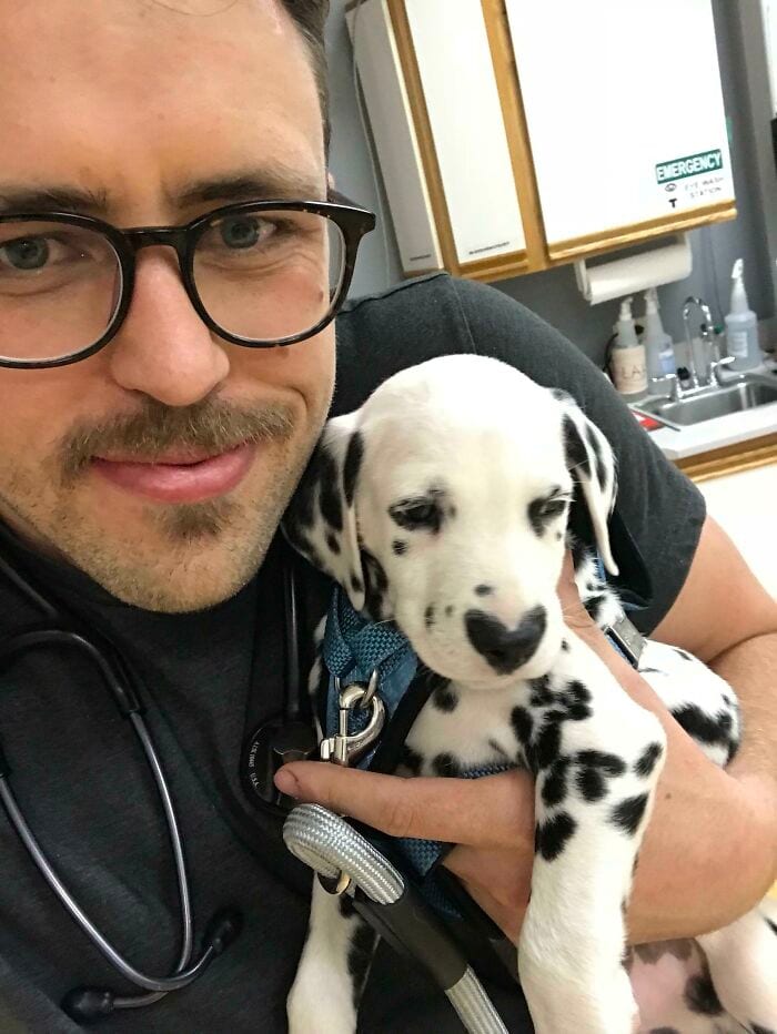 30 Hilarious And Wholesome Moments That Vets Have Experienced At Work