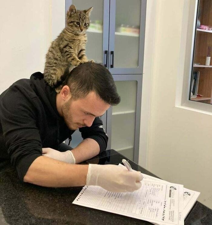 63529187B83B6 Veterinarian Job Moments