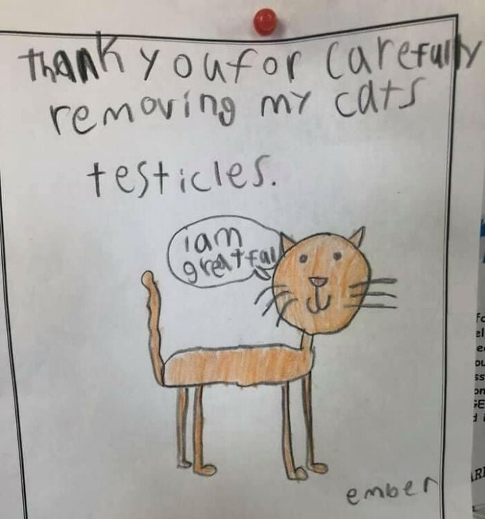 30 Hilarious And Wholesome Moments That Vets Have Experienced At Work