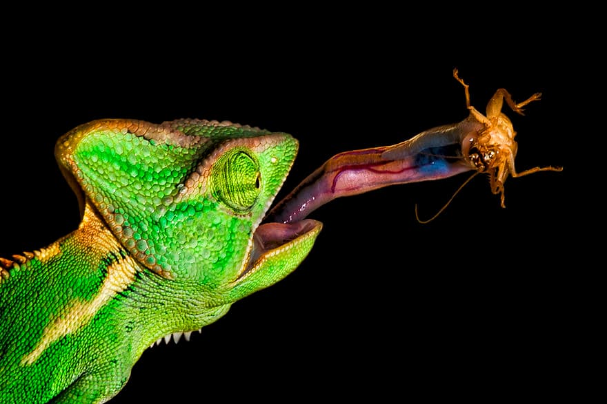 30 Absolutely Stunning Nature Shots From Great Photographers