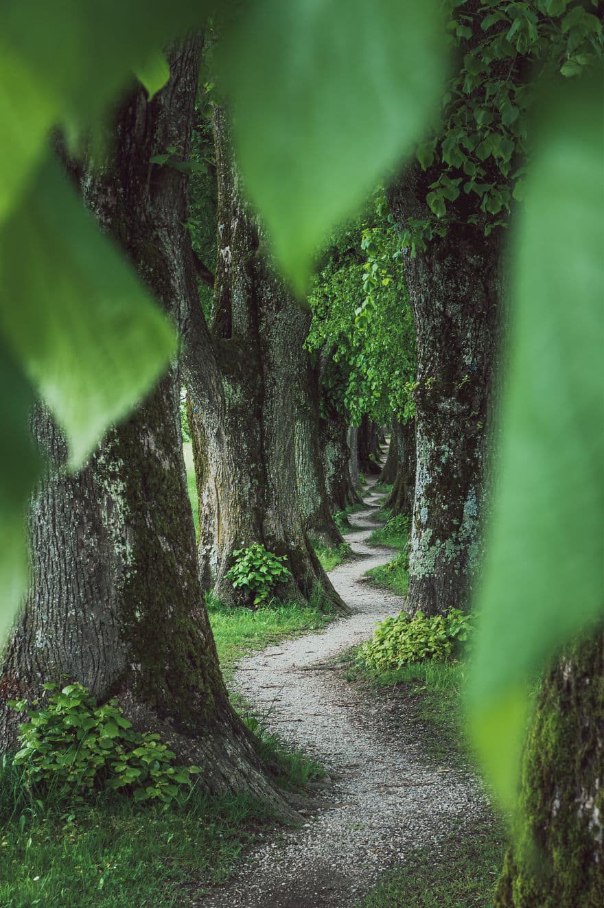 30 Absolutely Stunning Nature Shots From Great Photographers