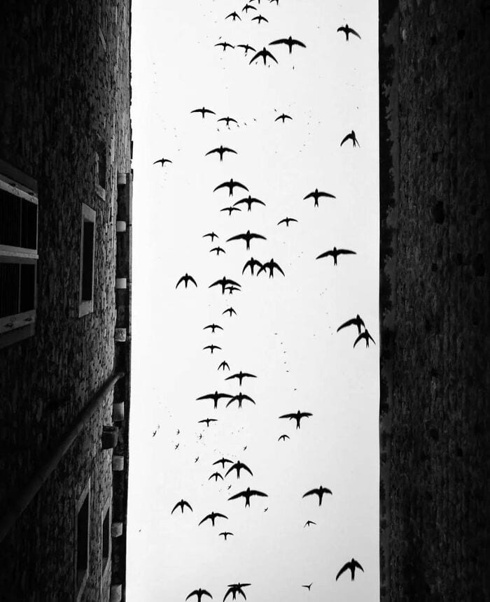 This Instagram Account Features Amusing Street Photographs And Has More Than 570 Thousand Followers 64 New Pics 6380B9355Cbb7 700