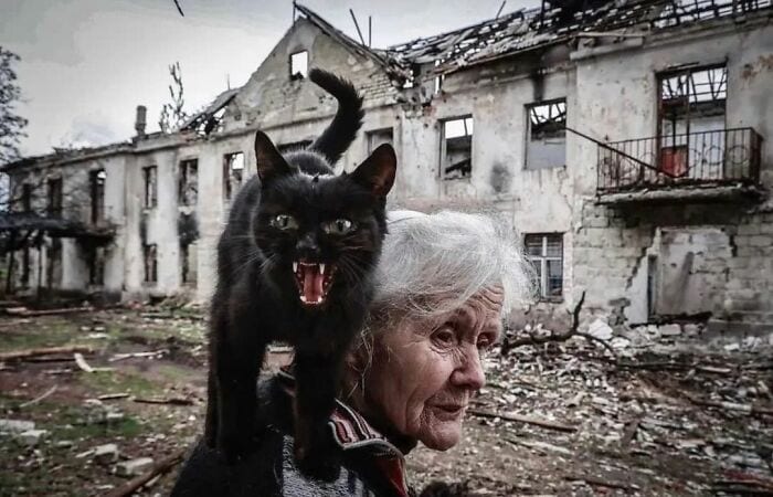 This Instagram Account Features Amusing Street Photographs And Has More Than 570 Thousand Followers 64 New Pics 6380C15Fb8B15 700
