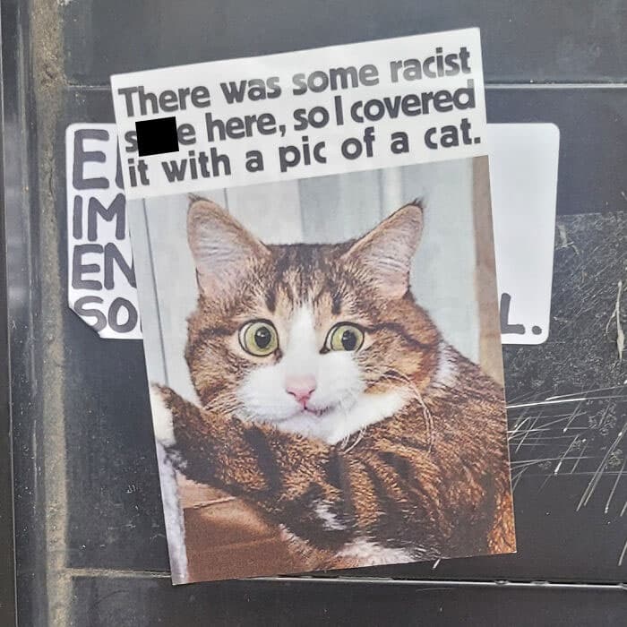 Funny Mild Vandalism 1 637791Eb5Cc58 700