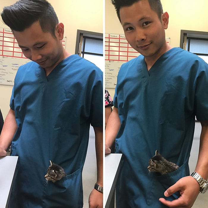 30 Hilarious And Wholesome Moments That Vets Have Experienced At Work