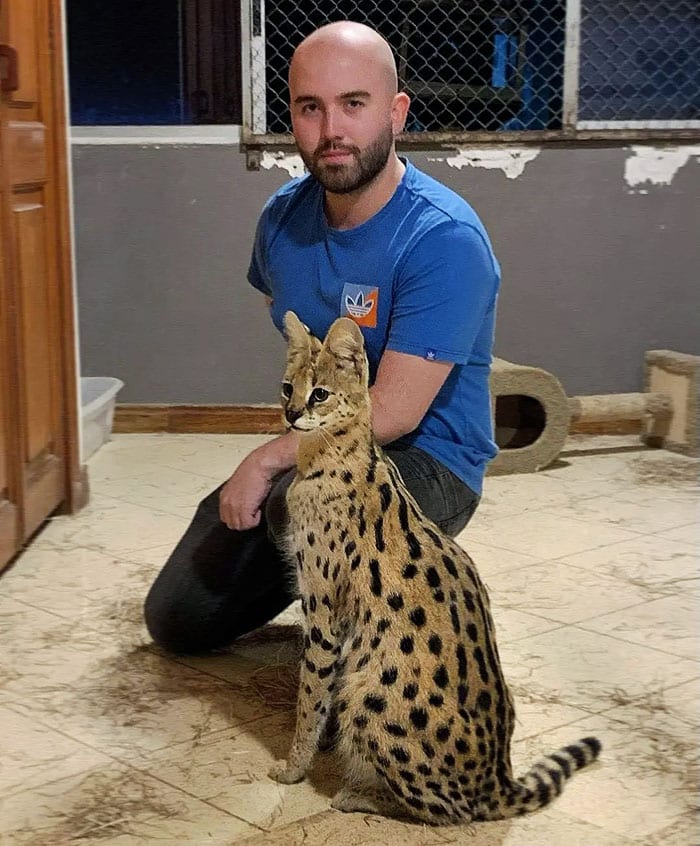 Veterinarian Job Moments 185 6357A491D2Ab3 700