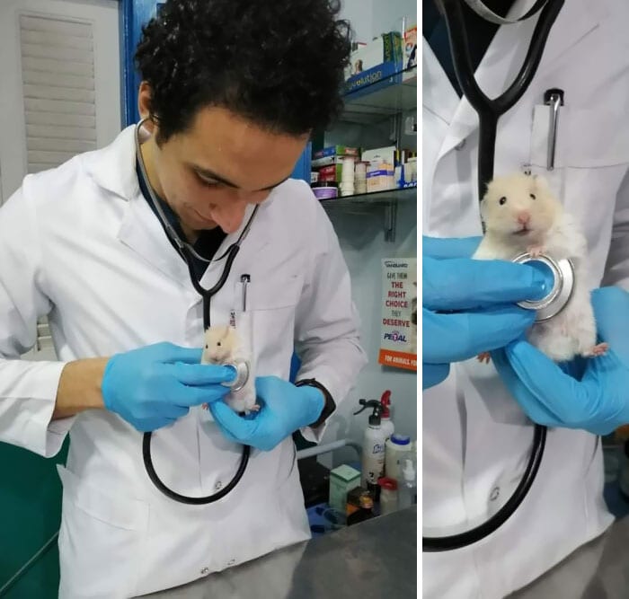 30 Hilarious And Wholesome Moments That Vets Have Experienced At Work