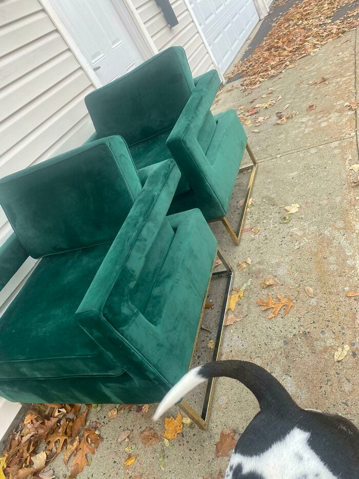 30 Awesome Times People Couldn’t Believe Their Luck While Dumpster Diving 