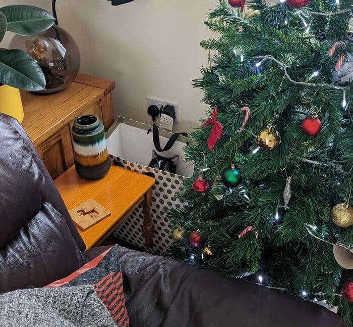638F55617Dee2 Christmas Cats 9