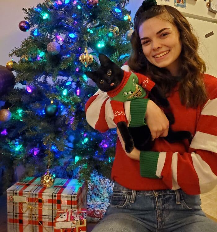 638F5605D1832 Christmas Cats 9