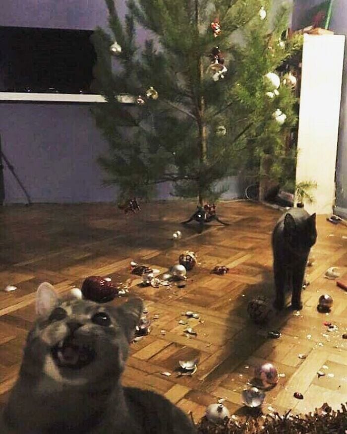 30 Sad Pictures Of People Who Are Probably Having A Worse Christmas Than You 