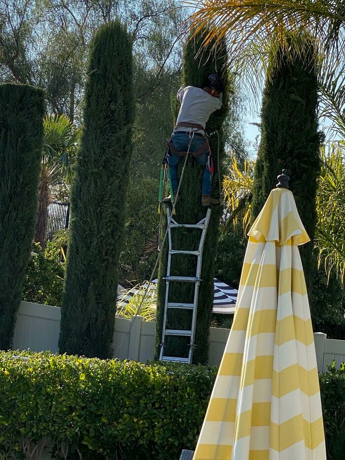 30 Unbelievably Funny Times People Failed At The One Job They Had 