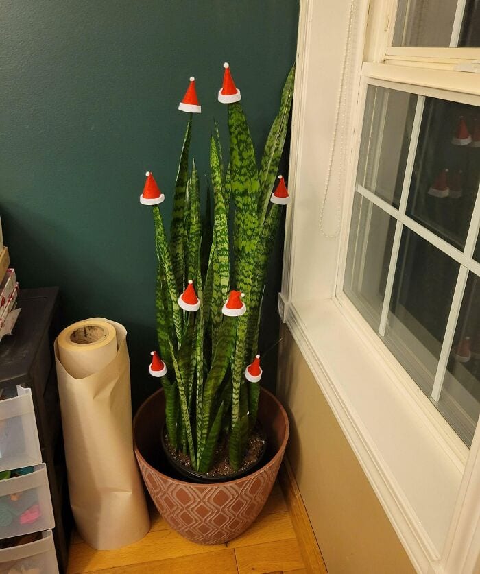 63977838A6A00 Creative Christmas Trees