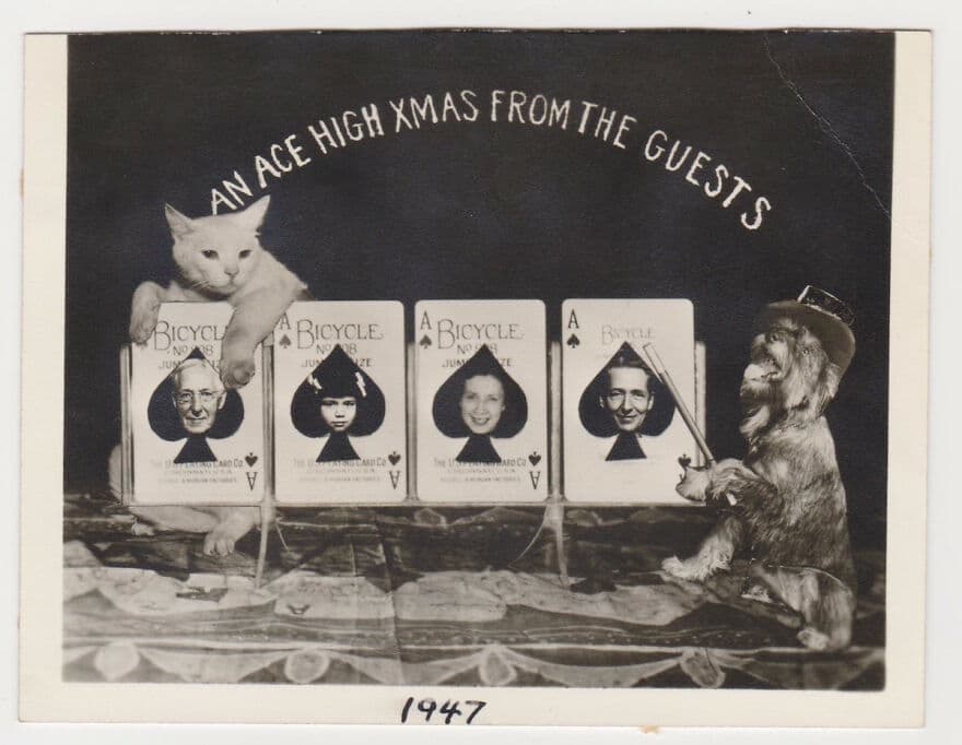 Card Use 7884 639B699E3Ab12 880