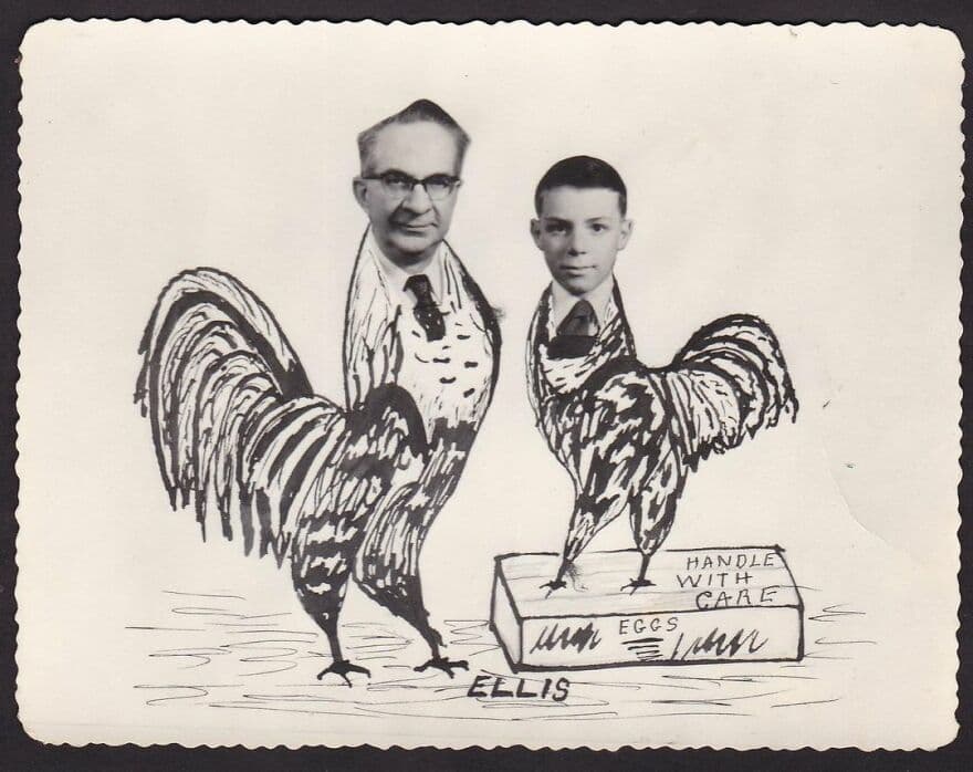 Card Use Xmas Card Chicken 639B698476Af3 880