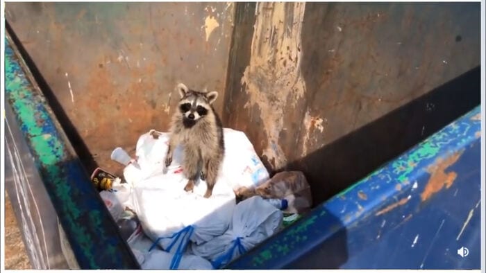 30 Awesome Times People Couldn’t Believe Their Luck While Dumpster Diving 