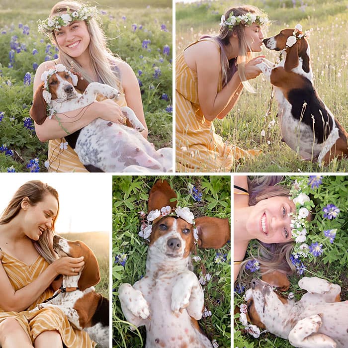 30 Extremely Adorable And Cute Pregnant Animals