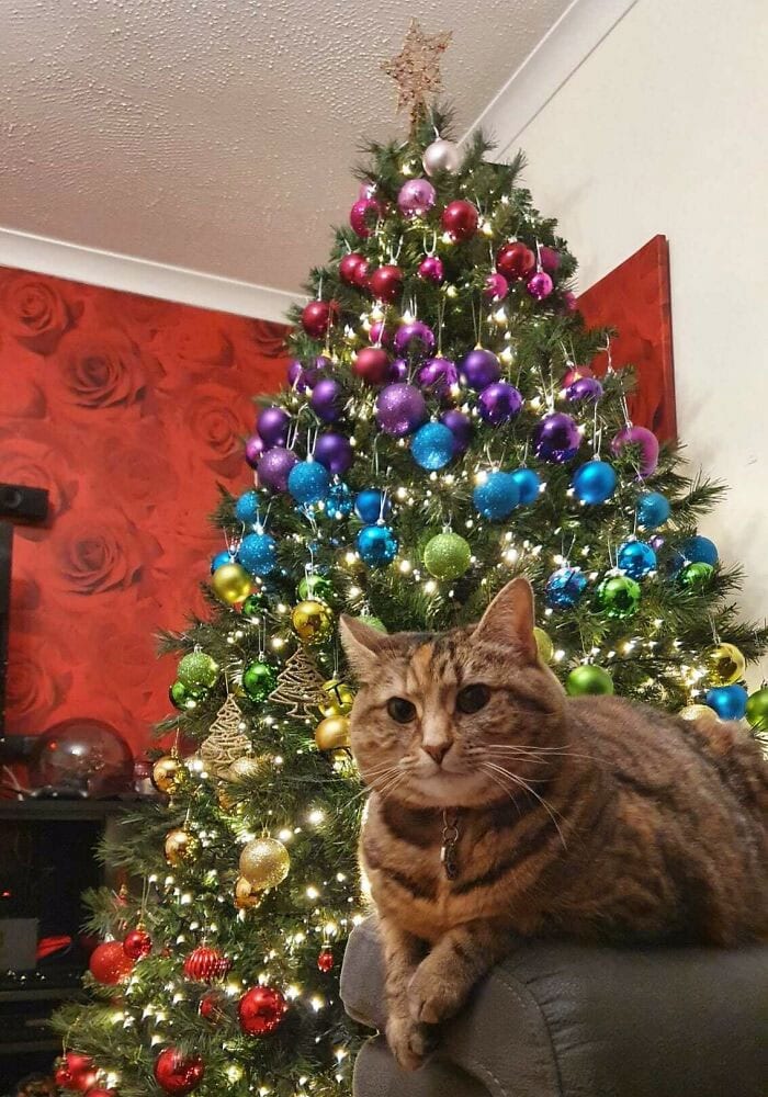 30 Epic And Creative Christmas Trees That Absolutely Won Christmas 