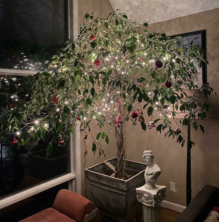 30 Epic And Creative Christmas Trees That Absolutely Won Christmas 