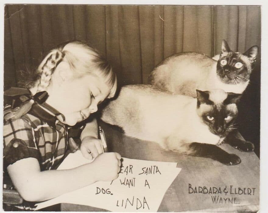 Dog 2 639B67A023A18 880