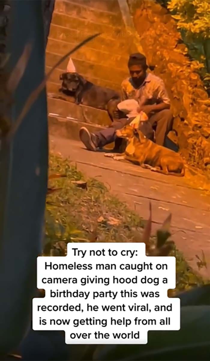 30 Adorable Times People Encountered Wholesome Dogs