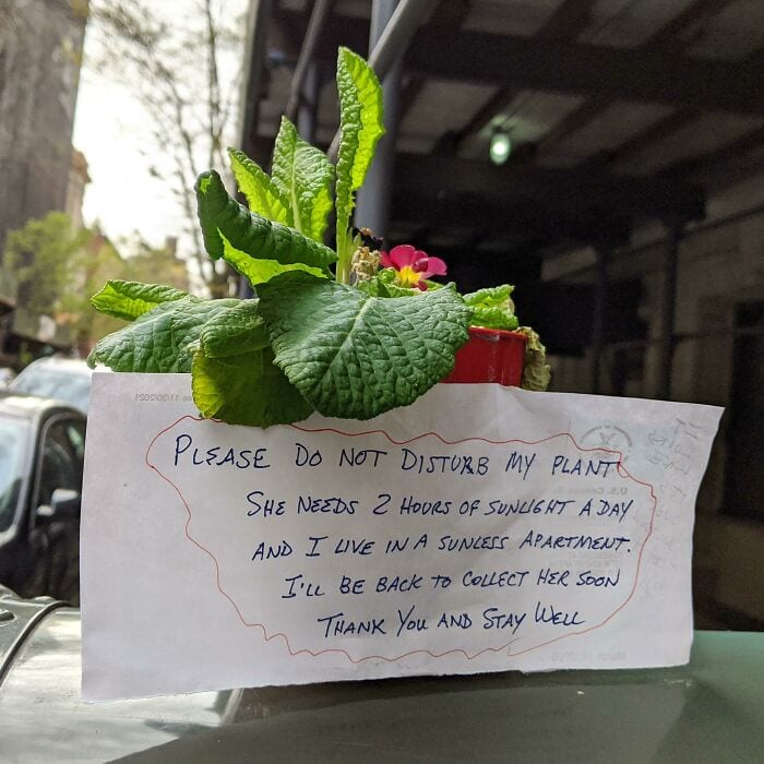 30 Amazing Pics That Prove New York Is An Absolute Dream 