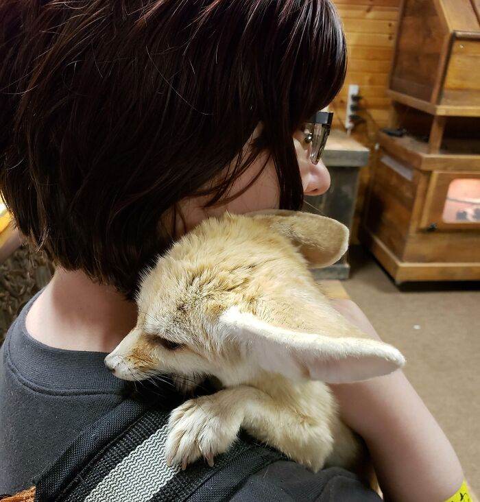 30 Adorable Pics Of Animals With The Cutest Ears