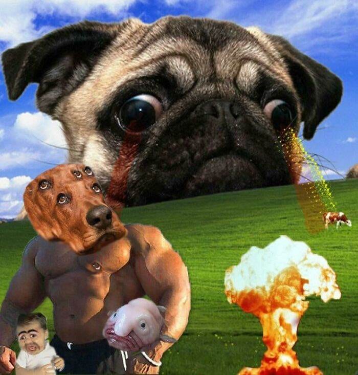63F887Df1Bc4E 0Nwd3V7To3H51 700