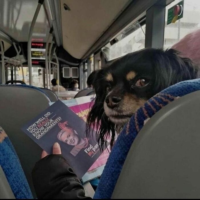 30 Extremely Funny Pictures With No Contexts
