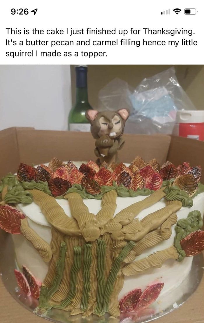 Funny Cake Shaming 63D3Ca14B8E04 700