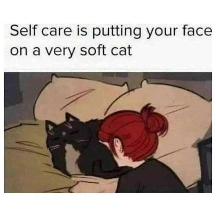 Mentally Not So Well Memes 81 63Da60Ee6Db2A 700