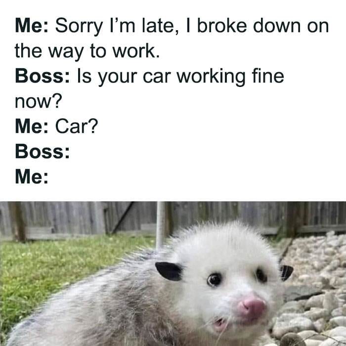 Funny Relatable Work Memes Jokes 640051Ad4F543 700 64007Df87E31C 700