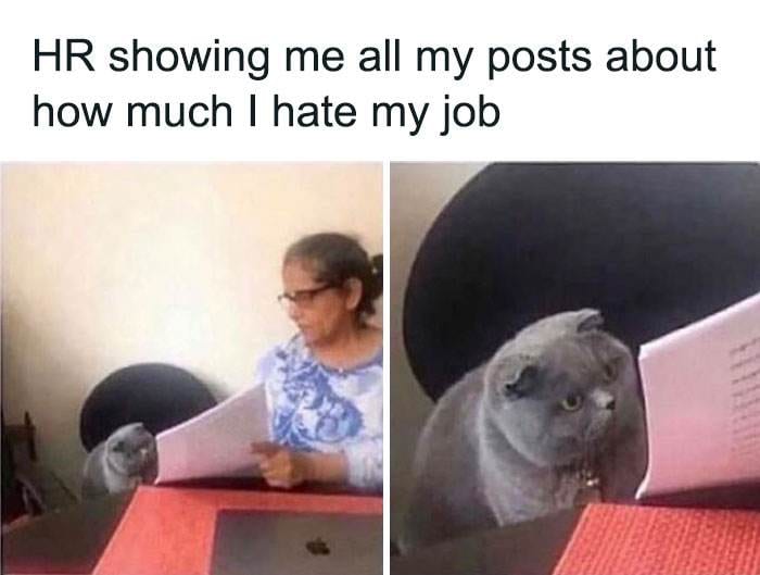 Funny Relatable Work Memes Jokes 640053981A458 700 64007E781A58A 700