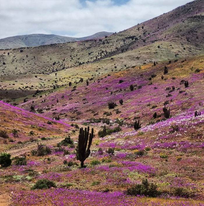 30 Of The Most Incredible, Stunning, And Weird Natural Phenomena