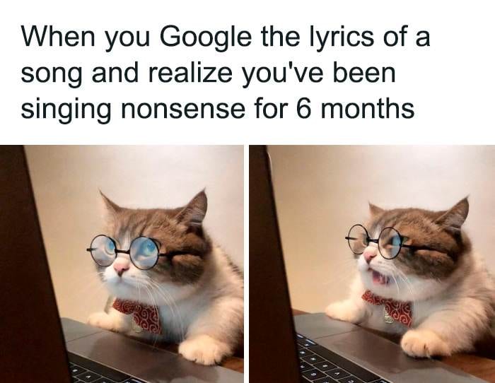 30 Ridiculously Goofy Animals To Instantly Lift Your Mood