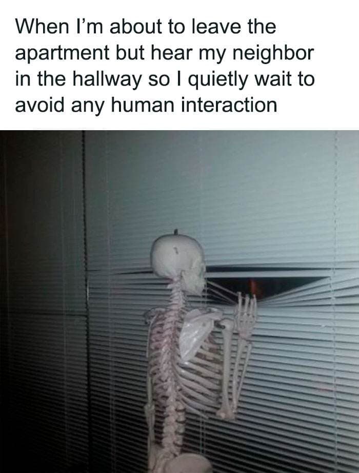 30 SpotOn And Funny Memes About Introverts