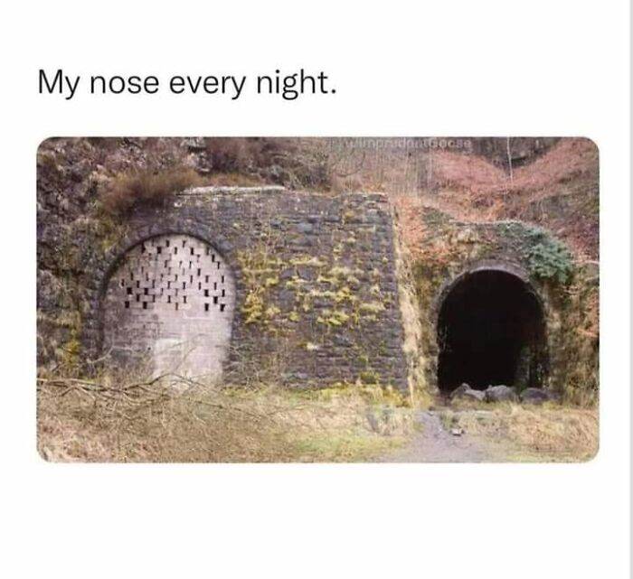 30 Random Funny Memes That Hit Too Close To Home
