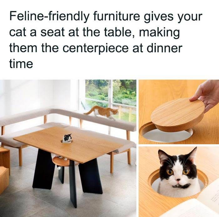 Funny Small Animal Memes 25 642C18B1Ce0F6 700