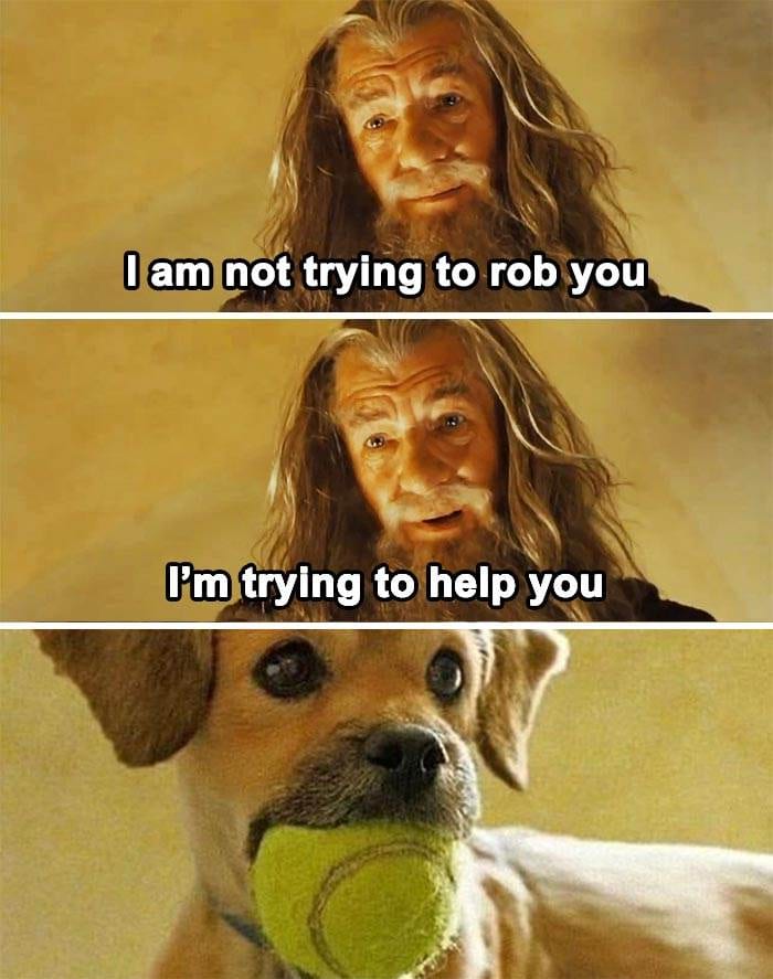 Funny Small Animal Memes 8 642C1C1E55A57 700