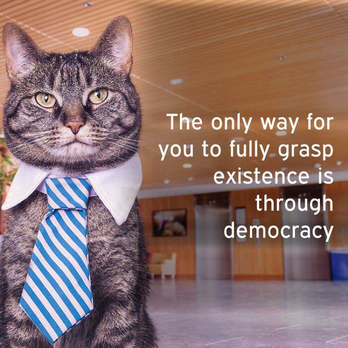I Made 30 Funny Quotes Using A Quote Generator 63E591143627F 700