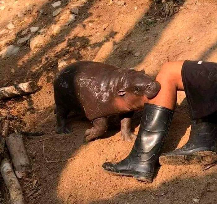 30 Funny Memes And Pictures That Are Hard To Believe 