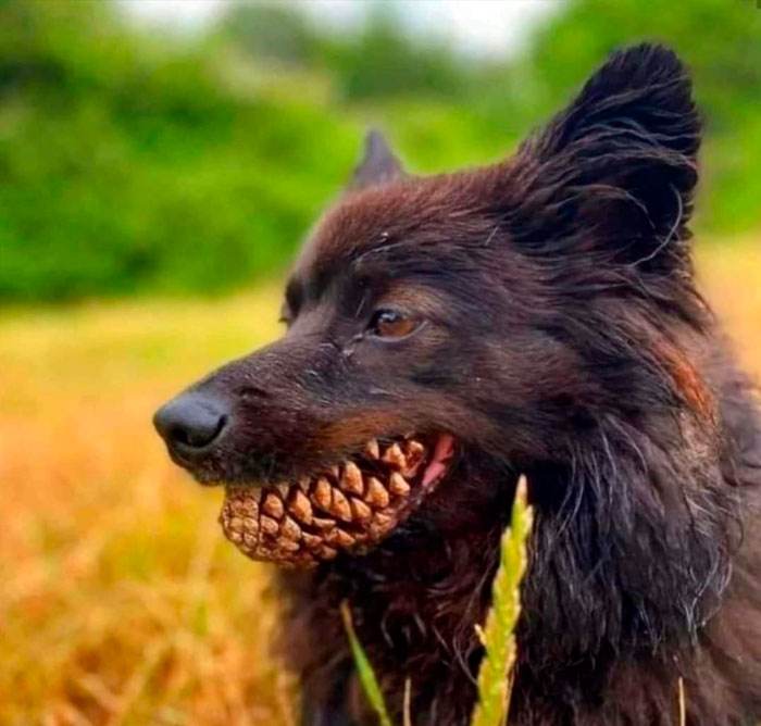 30 Funny Memes And Pictures That Are Hard To Believe 