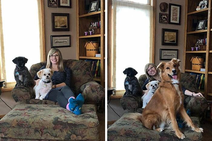 Funny Jealous Pets 24 64253005013Ef 700