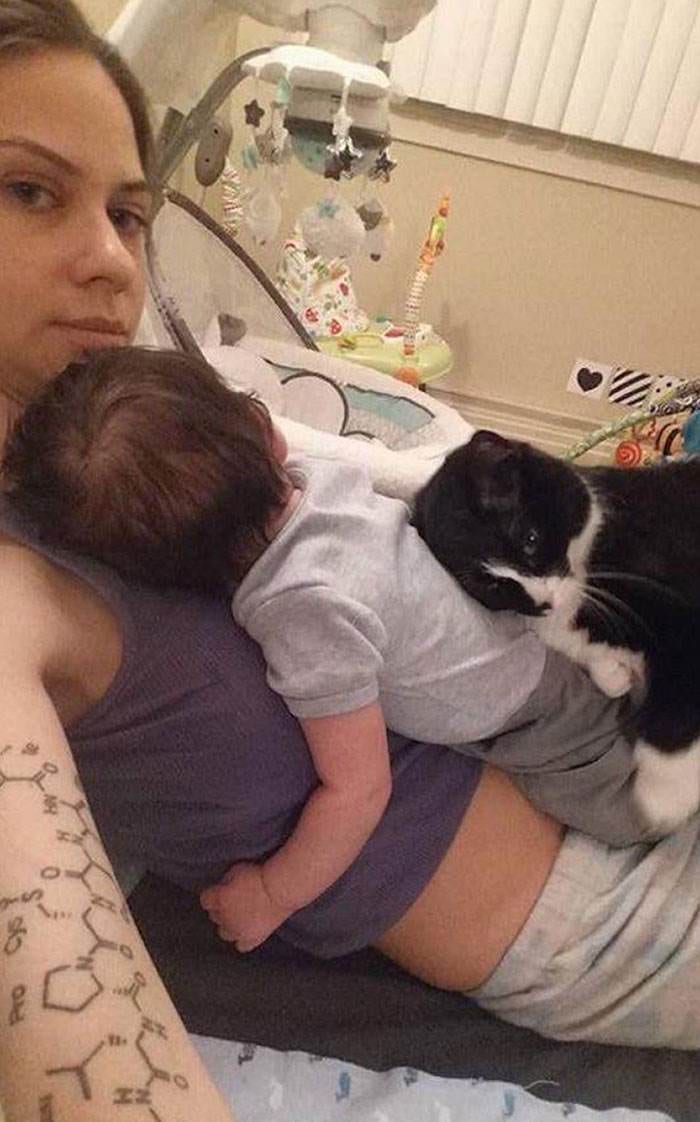 30 Cute Times Pets Hilariously Showed How Jealous They Are