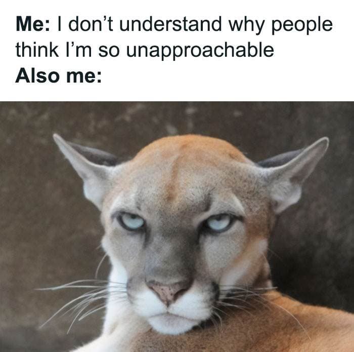 Introvert Memes By Allabintroverts 9 642Ac70E3Ee07 700