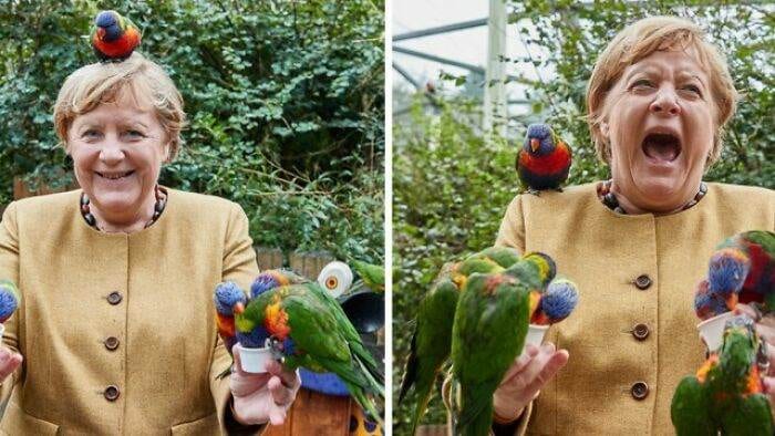 30 Extremely Funny Times Birds Were Caught Being Jerks